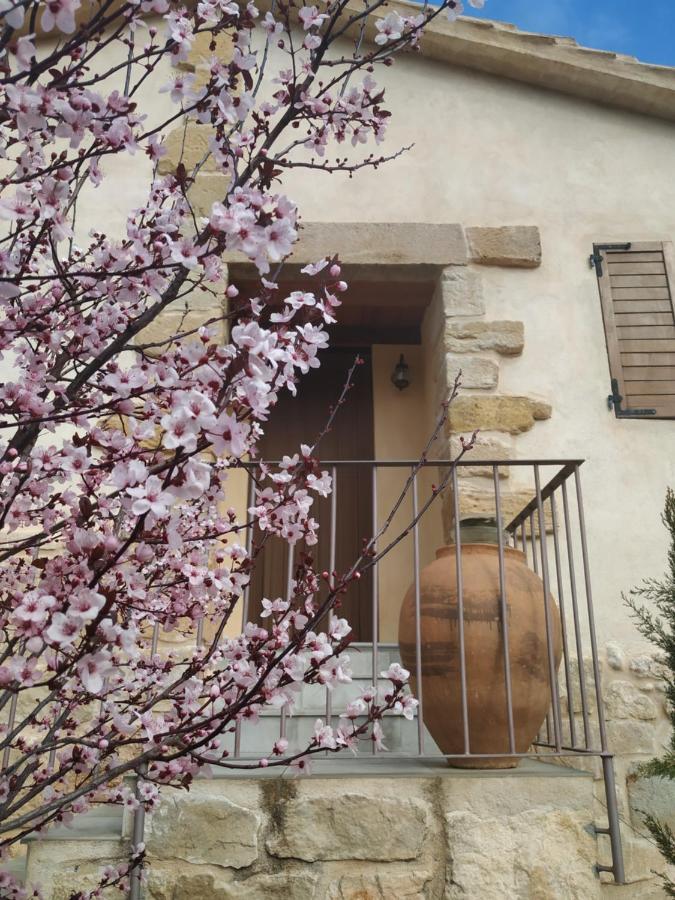 Maset Del Riu Vendégház Valderrobres Kültér fotó