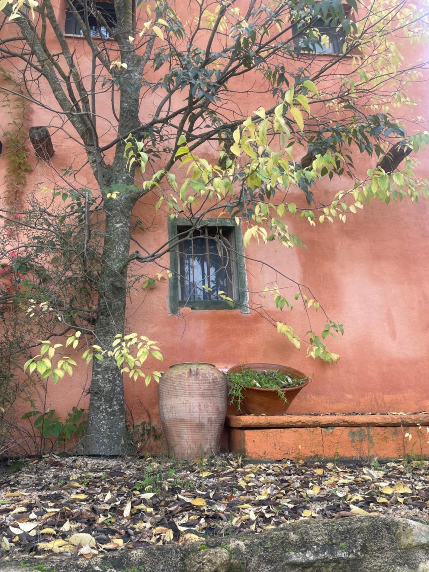 Maset Del Riu Vendégház Valderrobres Kültér fotó